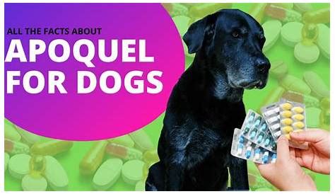 Understanding the Impact of